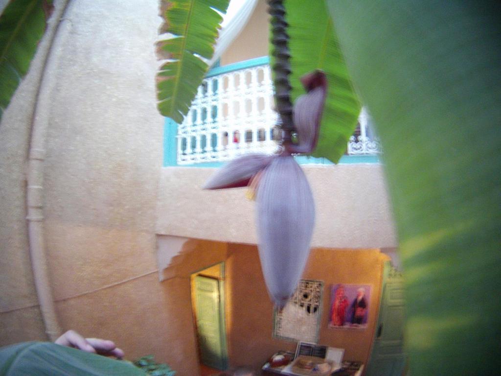 Dar Mchicha Marrakesh